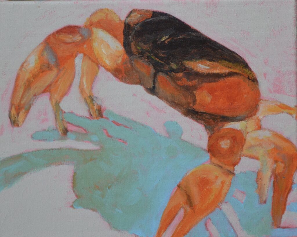 orgineel schilderij door angela van marrewijk 24 x 29 cm op doek acryl golden open krab op het strand