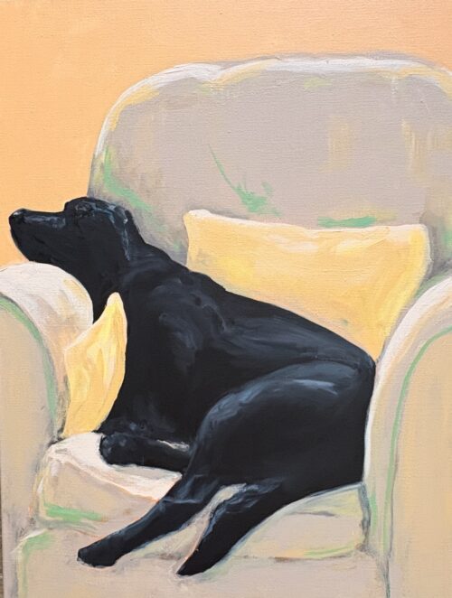 zwarte hond op stoel - acryl op doek 60 x 80 cm Angela van Marrewijk