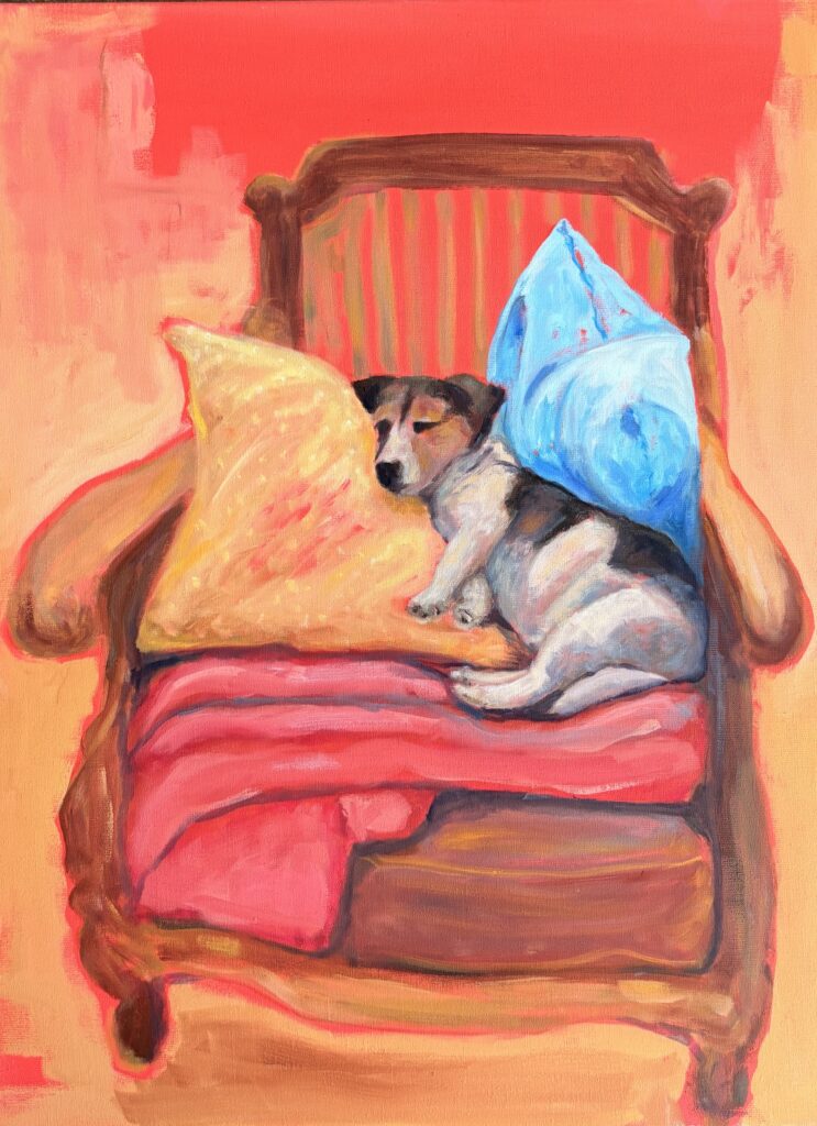 jack russel in stoel 60 x 80 cm olieverf schilderij angela van marrewijk